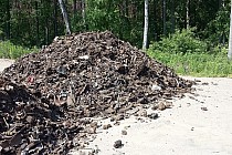 Zdjęcie przedstawia wyrzucone odpady niewiadomego pochodzenia