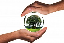 Obrazek przedstawia ręce trzymające szklaną kulę z drzewem