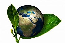 Obrazek przedstawia planetę Ziemia oraz dwa zielone liście