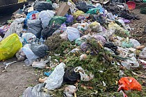 Zdjęcie przedstawia odpady dostarczone jako bioodpady na bazę MPO  (fot. MPO).
