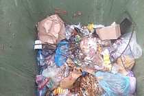 Zdjęcie przedstawia nieprawidłowe odpady w pojemniku na bioodpady.